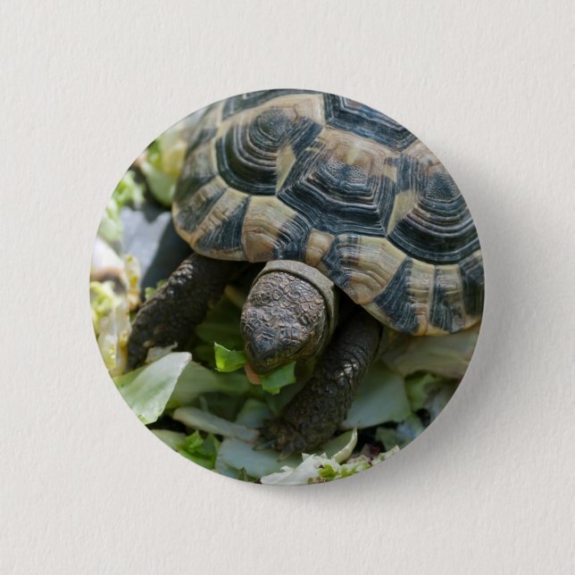 Cute Turtle 6 Cm Round Badge (Front)