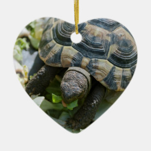 Cute Turtle Ceramic Ornament