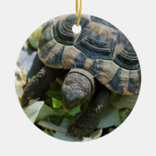 Cute Turtle Ceramic Tree Decoration