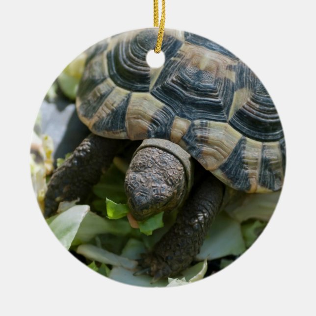 Cute Turtle Ceramic Tree Decoration (Front)