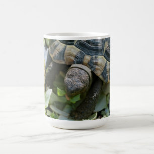 Cute Turtle Coffee Mug