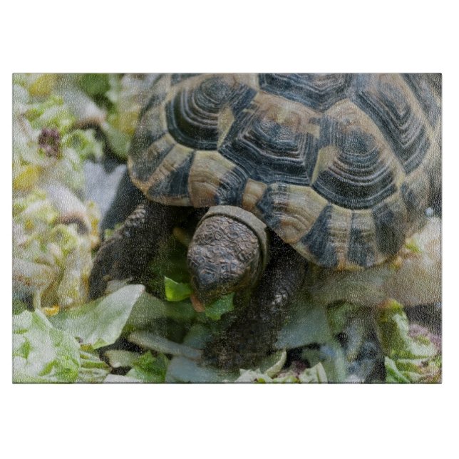 Cute Turtle Cutting Board (Front)