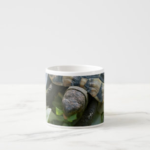 Cute Turtle Espresso Cup