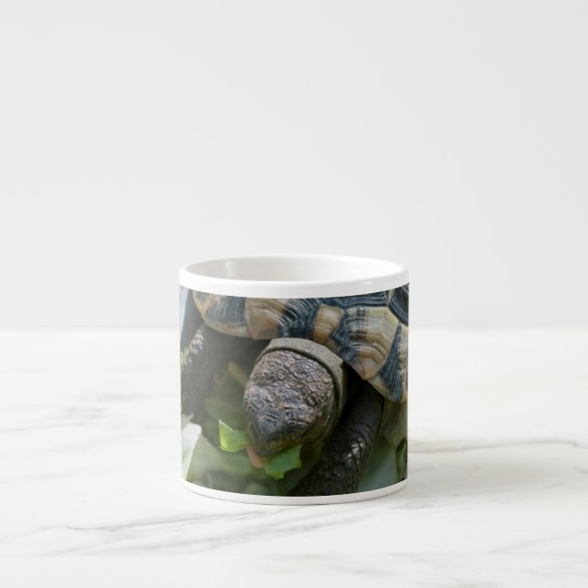 Cute Turtle Espresso Cup (Front)