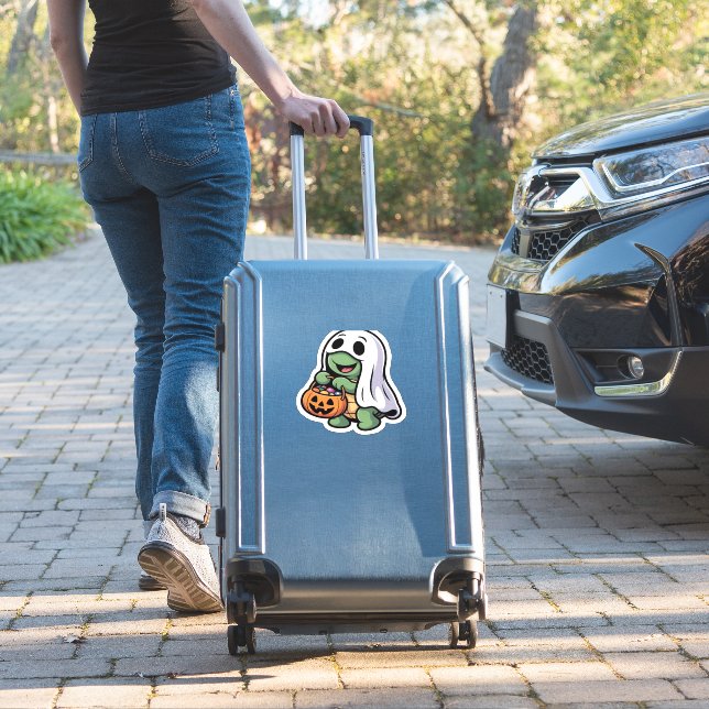 Cute Turtle Ghost Costume � Adorable Halloween Tri (Suitcase Insitu)