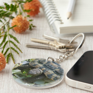 Cute Turtle Key Ring