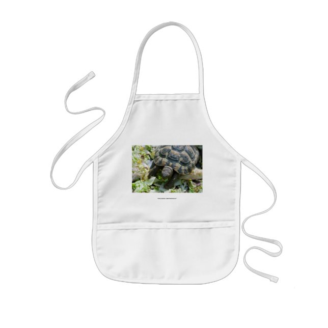 Cute Turtle Kids Apron (Front)