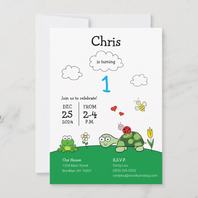 Cute Turtle Ladybug Birthday Party Invitation (Front)