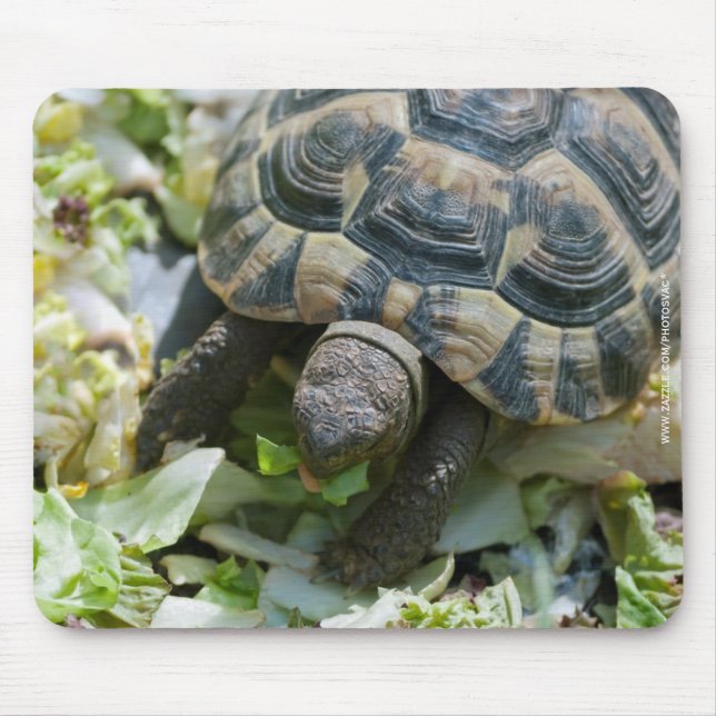 Cute Turtle Mouse Pad (Front)