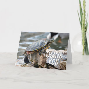 Cute Turtle Photo Thank You Card