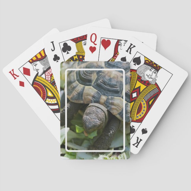 Cute Turtle Playing Cards (Back)