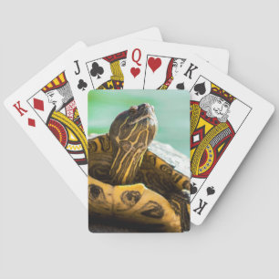 Cute Turtle Playing Cards