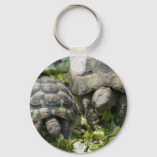 Cute Turtles Key Ring