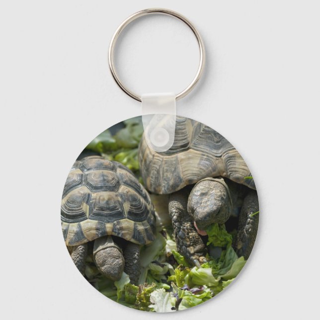 Cute Turtles Key Ring (Front)