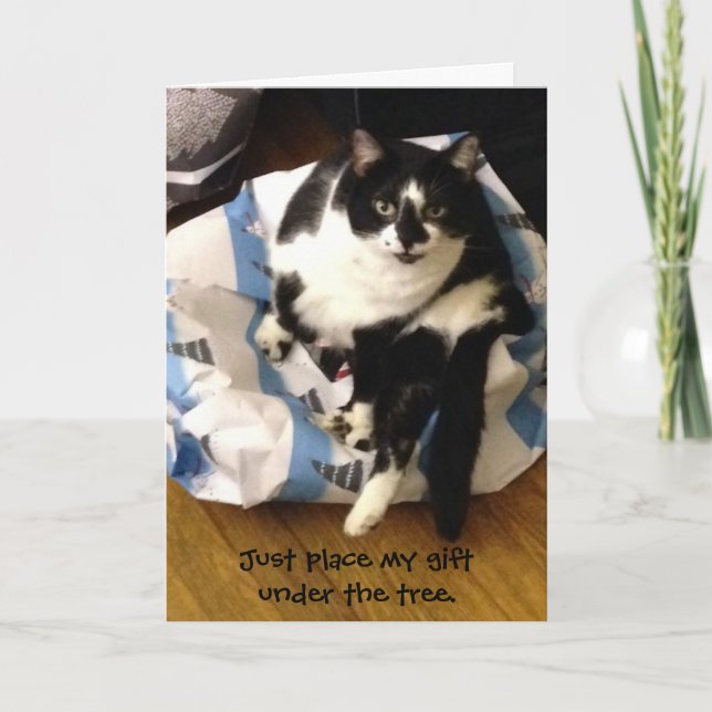 Cute Tuxedo Cat Purr-fect Christmas Cards (Front)