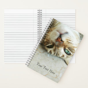 Cute Upside Down Tabby Cat Personalised Notebook