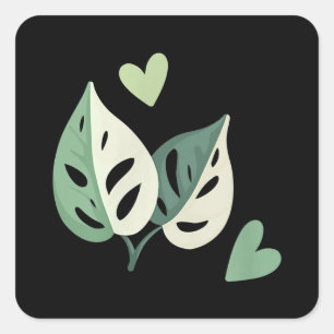 Cute Variegated Monstera Adansonii Swiss Cheese Square Sticker