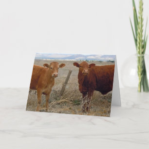 Cute Vet Graduation Congratulations Ranch Farm DVM Card