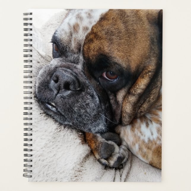 Cute Victorian Bulldog Photo Planner (Front)