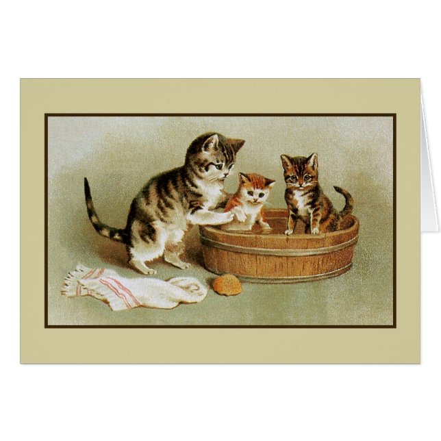 Cute Victorian cat bathing kittens in bath tub (Front Horizontal)