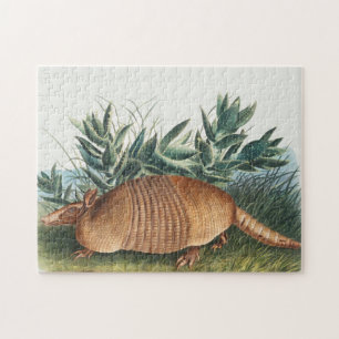 Cute Vintage Armadillo Illustration Jigsaw Puzzle
