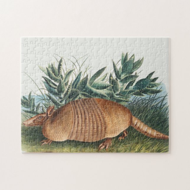 Cute Vintage Armadillo Illustration Jigsaw Puzzle (Horizontal)