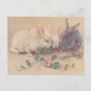 Cute Vintage Bunnies Postcard