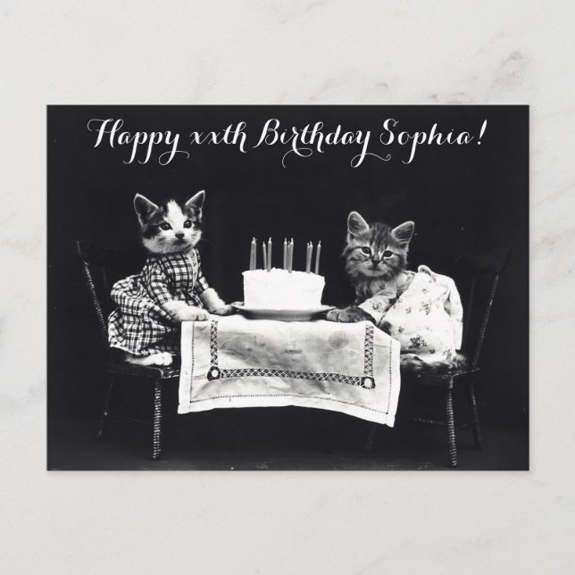 Cute Vintage Cat Birthday Party Postcard (Front)