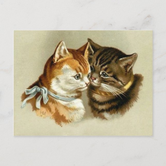 Cute Vintage Cats Postcard (Front)