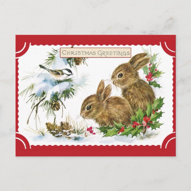 Cute Vintage Christmas Greetings Bunny Rabbit Postcard (Front)