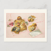 Cute Vintage Easter Chicks in Package