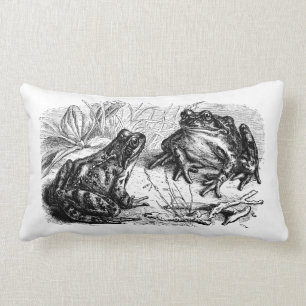 Cute vintage frog lovers decor pillow