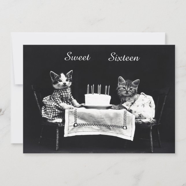 Cute Vintage Kittens Sweet Sixteen Birthday Party Invitation (Front)