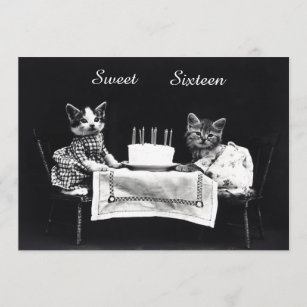 Cute Vintage Kittens Sweet Sixteen Birthday Party Invitation