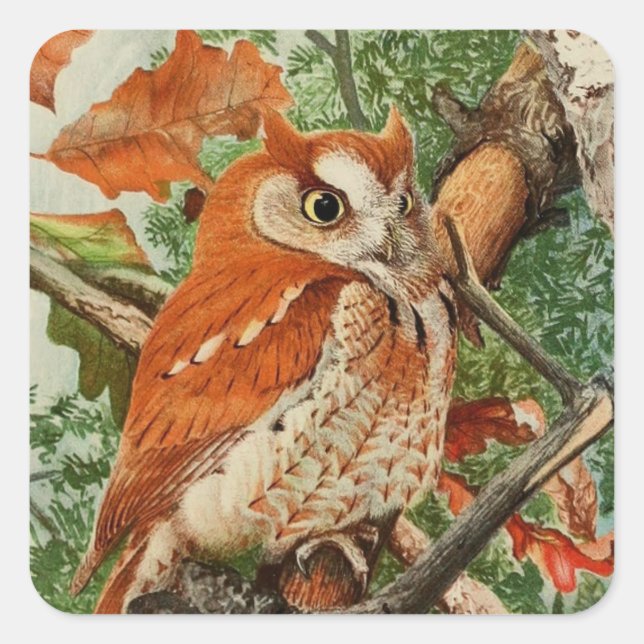 cute vintage owl lovers square sticker (Front)