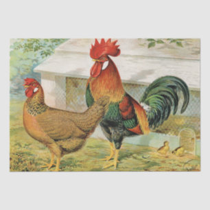 Cute vintage Rooster and hen party Tissue Paper