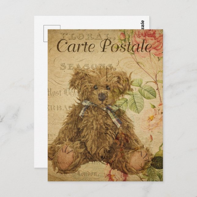 Cute Vintage Shaggy Teddy Bear Postcard (Front/Back)