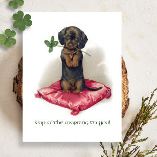 Cute Vintage St. Patrick's Day Dachshund w/Clover Postcard