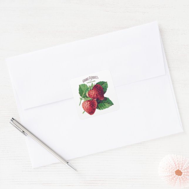 Cute Vintage Strawberry Berry Fruit Add Your Name Square Sticker (Envelope)