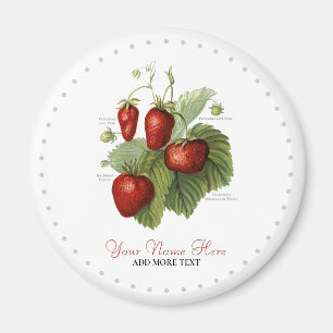 Cute Vintage Strawberry Varieties Name Magnet