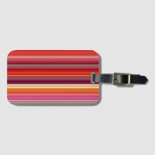 Cute vintage striped colours luggage tag