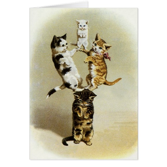 Cute Vintage Victorian Cats Kittens Playing, Humou (Front)