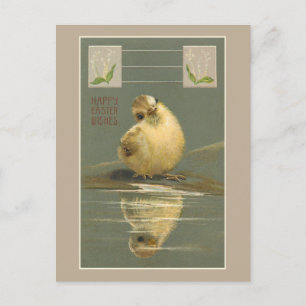 Cute Vintage Yellow Easter Chick Holiday Postcard