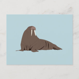 Cute Walrus Illustration Holiday Postcard