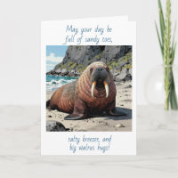 Cute Walrus on a Sandy Beach | Thinking of You