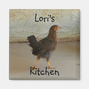 Cute wandering chicken photo magnet