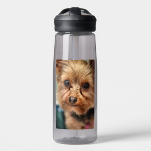 Cute Water Bottle