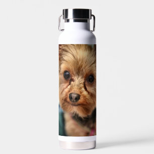 Cute water bottle