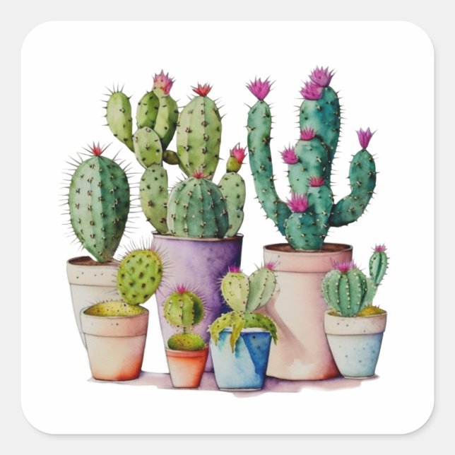 Cute watercolor cacti cactus succulents in pots square sticker (Front)