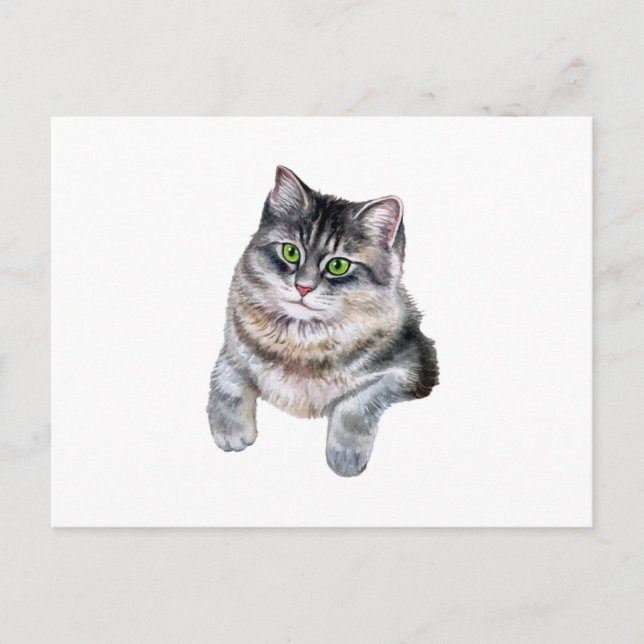 Cute Watercolor Grey Tabby Cat  Postcard (Front)
